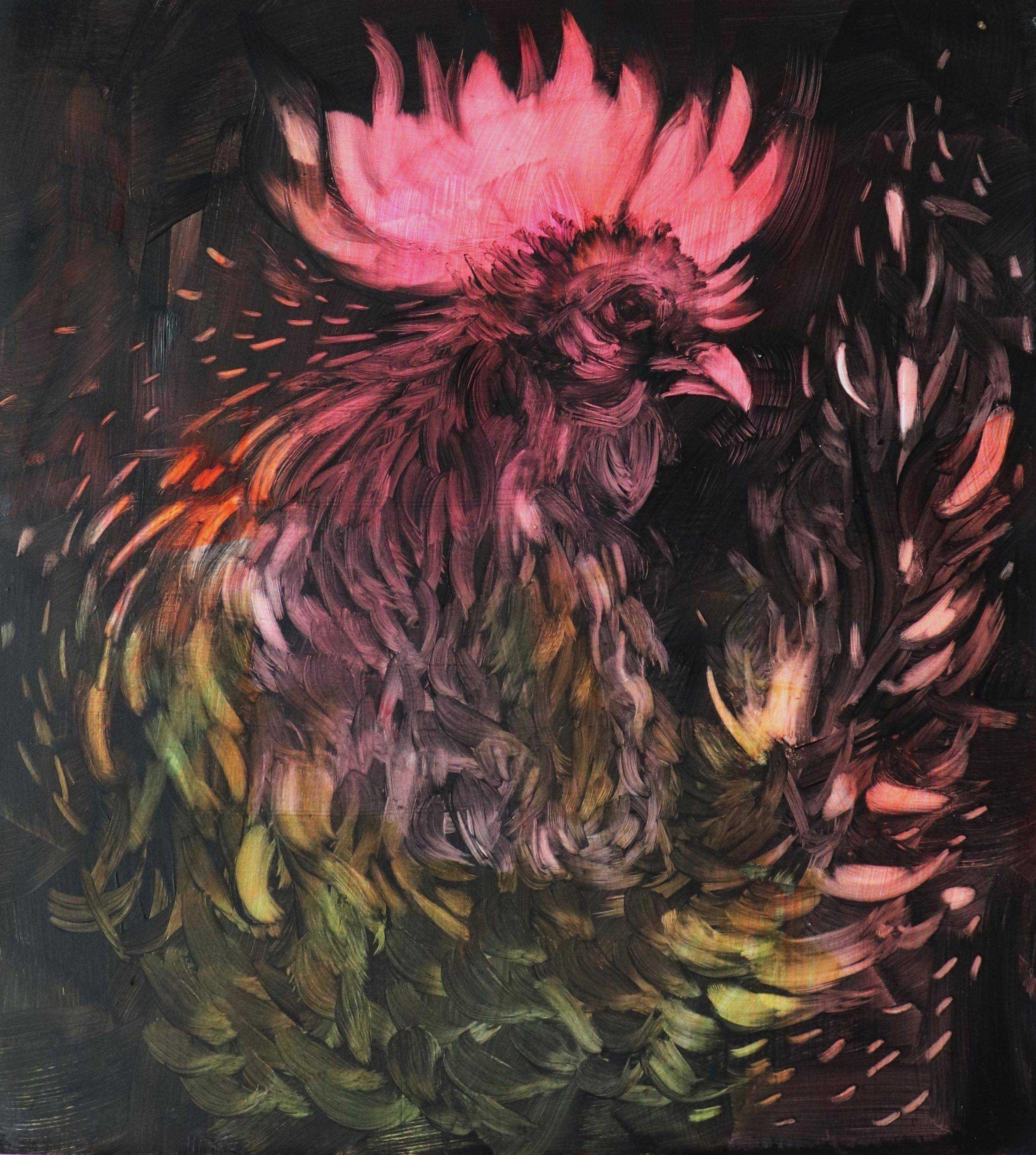 A dark, feathery bird form crowned by a vivid burst of pink against black.