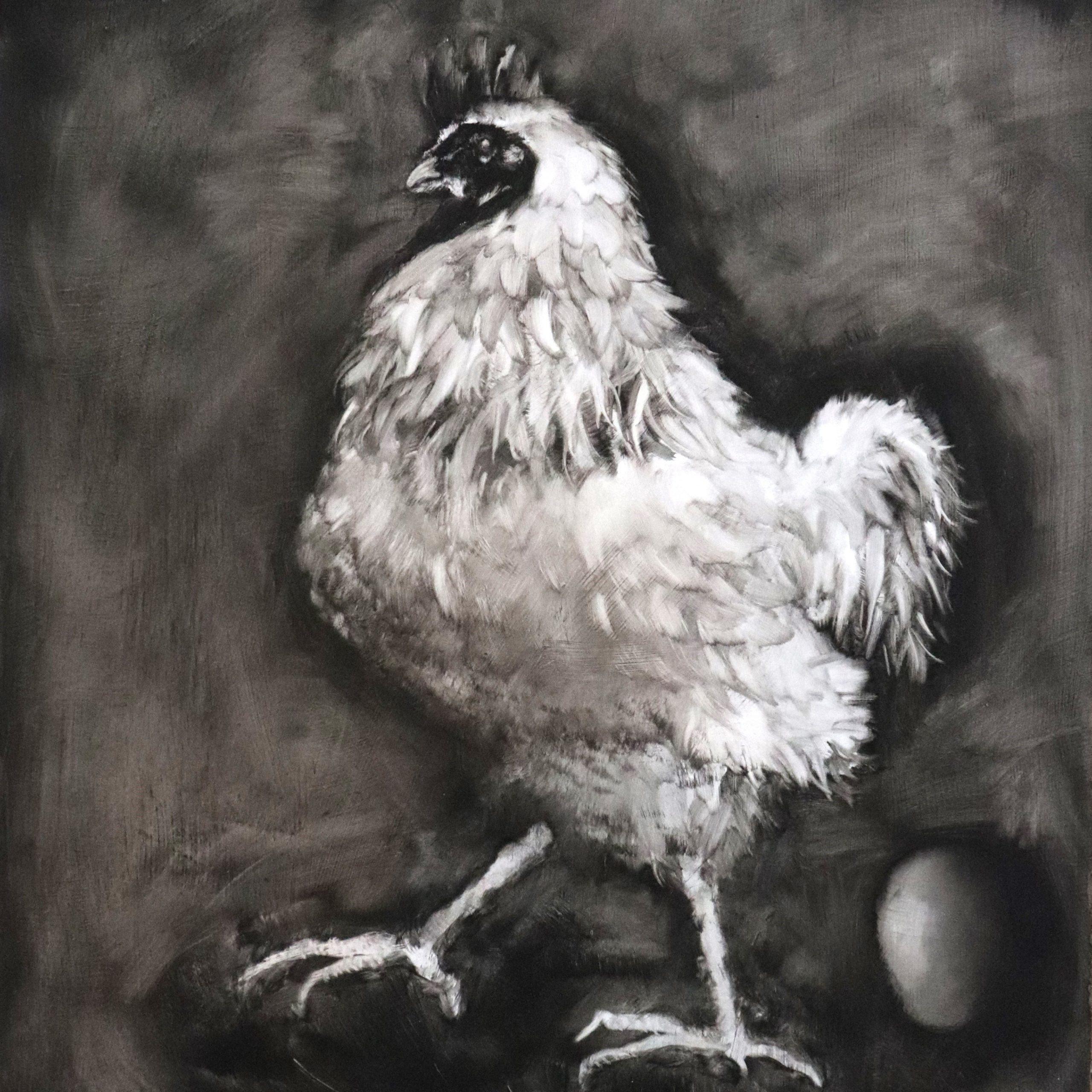 A white chicken posed regally against a soft charcoal-black background.