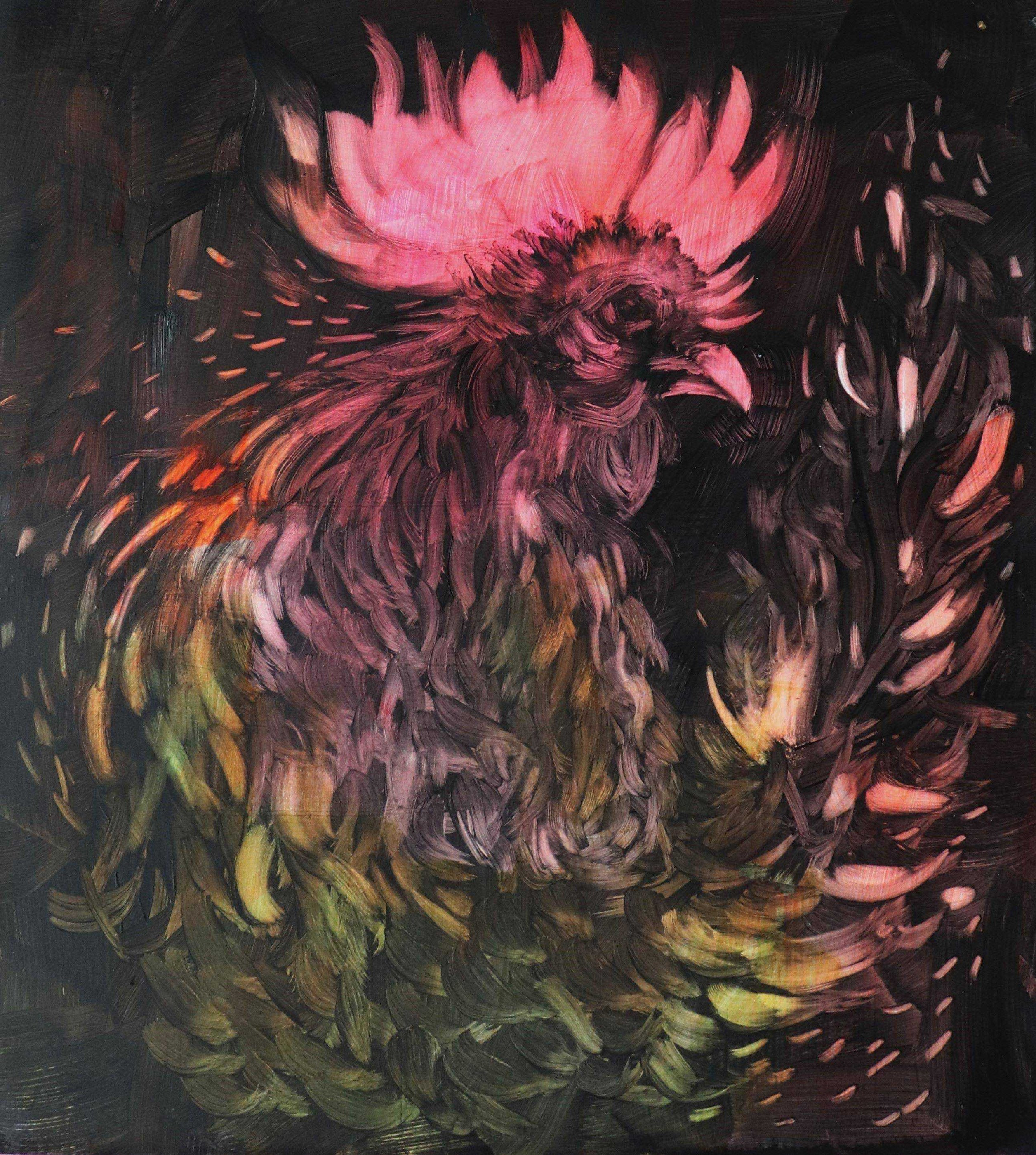 A dark, feathery bird form crowned by a vivid burst of pink against black.